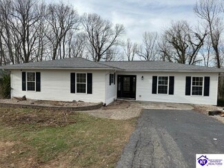 3046 Cannons Point Ln, Mc Daniels, KY 40152