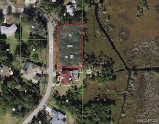4655 S Gator Loop, Homosassa, FL 34448