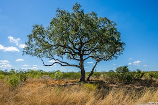 CR 652 Cr 652, Devine, TX 78016
