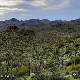 004K N Hardt Tank Rd Unit 4K, Suprstitn Mountain, AZ 85118