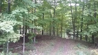 0 Old Tyler Rd Unit 201932354, Durham, NY 12322