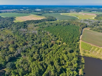 0 Georgia 33, Moultrie, GA 31788