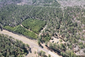 4495 Fm 3065, Colmesneil, TX 75938