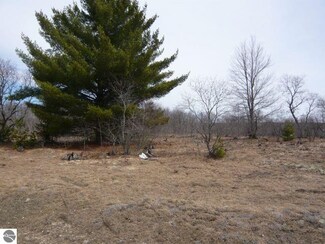 lot 1173 Thornton Dr Unit 1173, Elmira, MI 49730