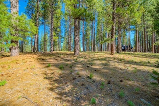266 Boulder Dr, Clio, CA 96106