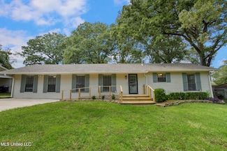 225 Maxine Dr, Pearl, MS 39208