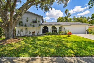 4506 Huntsman Ct, Tampa, FL 33624