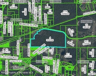 00 Mondon Hill Rd, Brooksville, FL 34601
