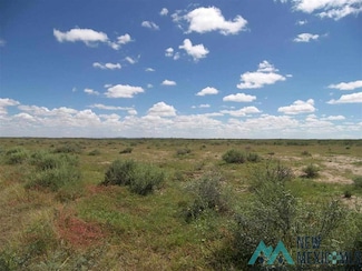 XXXX Lalo Rd SE, Deming, NM 88030