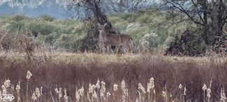 1128 Friendly Rd, Lake Providence, LA 71254