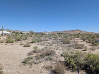 0 Cardon Ln Unit 250051517, Yerington, NV 89447
