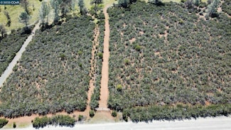 0 Lakeview Loop Unit 41090903, Stonyford, CA 95979