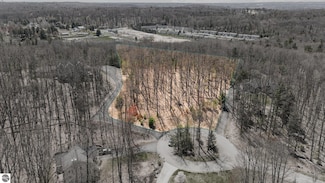 4139 Cranberry Ln, Williamsburg, MI 49690