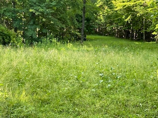 Tbd E Hazel Mountain, Dante, VA 24237