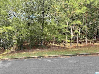 Lot 9 White Oak Cir, Sumiton, AL 35062