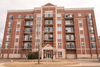 405 S Creekside Dr Unit 503, Palatine, IL 60074