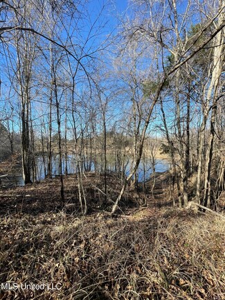 0 Cox Ferry Rd, Flora, MS 39071