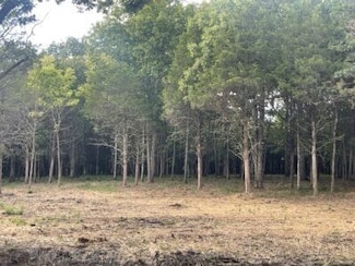 0 Atkinson Rd, Lebanon, TN 37090