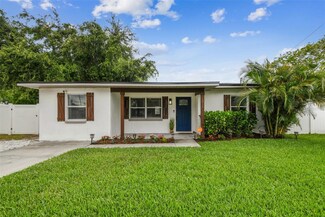 1011 N Paddock Ave, Tampa, FL 33607