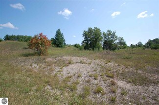 15319 Molineaux Rd Unit 4 & 5, Wolverine, MI 49799