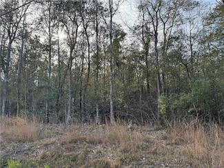 0 Crawford Rd, Pearl River, LA 70452