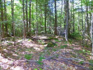 TBD Crystal Vale Rd, New Sharon, ME 04955