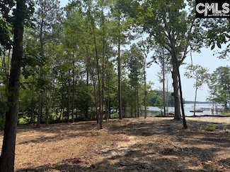 10 Hanging Oak Rd, Prosperity, SC 29127