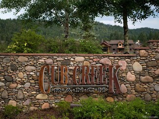 6303 Little Cub Creek Rd, Evergreen, CO 80439