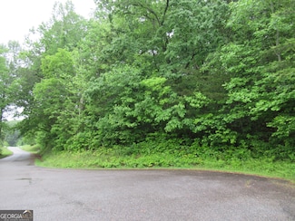 0 Meadow Crest Dr Unit 10512019, Cleveland, GA 30528