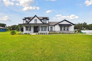 13541 Grand Blossom Ct, Dover, FL 33527