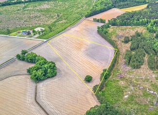 0 Tbd Sandhill Rd Unit LotWP00C, Marion, SC 29571