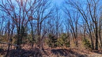 15 Windy Ridge Ln, Warrenton, MO 63383