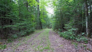 0 State Highway 141, Niagara, WI 54151