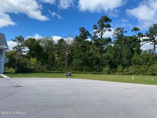 677 Tom Nevers Way, Holly Ridge, NC 28445