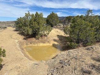0 Nsn Eureka Mesa Rd, Cuba, NM 87013