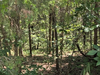 6 Lots Needles Eye Rd, Shell Knob, MO 65747