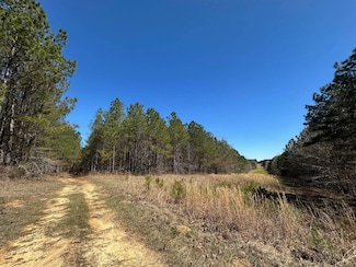 3 County Road 5112, Ethel, MS 38829