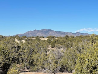 45 Stage Coach Trail, Sandia Park, NM 87047