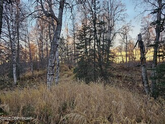 A008 Mile 117 3 Parks Hwy, Trapper Creek, AK 99683
