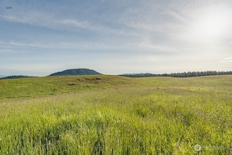 3737 C S Jumpoff Rd Unit Lot 4, Valley, WA 99181