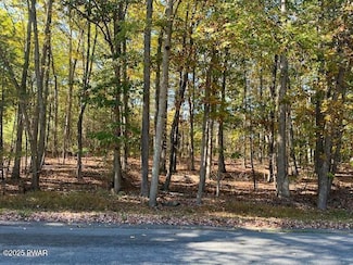 Lot 3 Aspen Rd, Birchwood Lakes, PA 18328