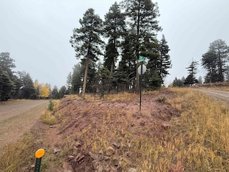 Lot 223 Steamboat Ln, Angel Fire, NM 87710