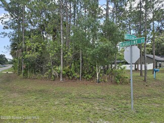 491 Helicon Ave NW, Palm Bay, FL 32907