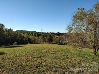 0 Cowtail Ln, Connelly Springs, NC 28612