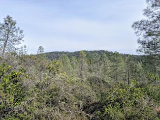 2080 Daffodil Ln, Georgetown, CA 95634