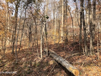 Lot 51 Harbor Ln, Lafollette, TN 37766