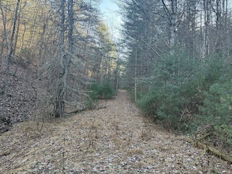 21 acres Buck Hill Ln, Sugar Grove, WV 26815