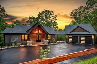 453 Settler's Ridge Rd, Cherry Log, GA 30522