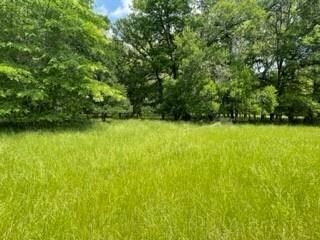 TBD 7 Farm To Market 1848, Buffalo, TX 75831