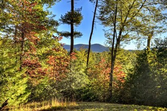 12.64 AC Harrison Sluder Rd, Ellijay, GA 30540